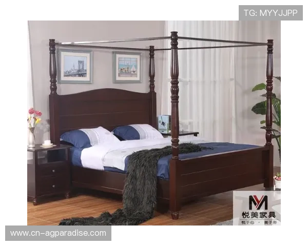 解决AG亚游app登录常见问题的方法详解让你轻松应对登录障碍