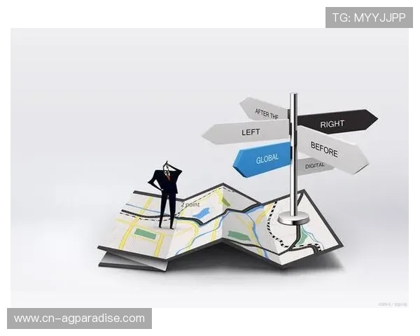 ag手机客户端登录账号时需要注意的安全事项以及保护个人信息的实用建议