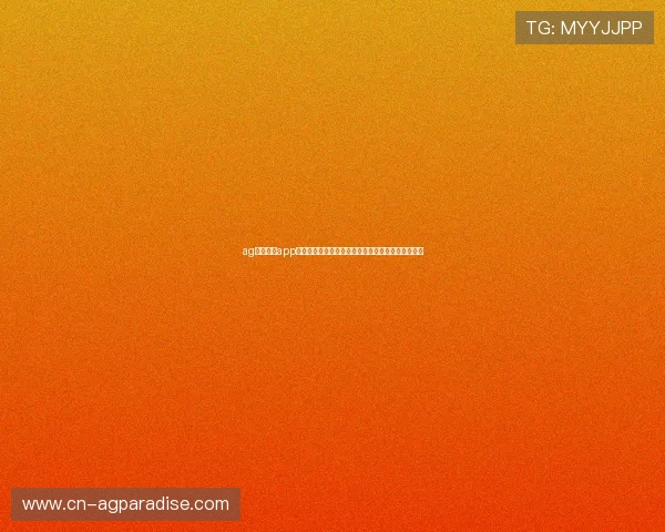 ag体育官网app：世界杯期间最值得关注的明星球员表现与精彩瞬间
